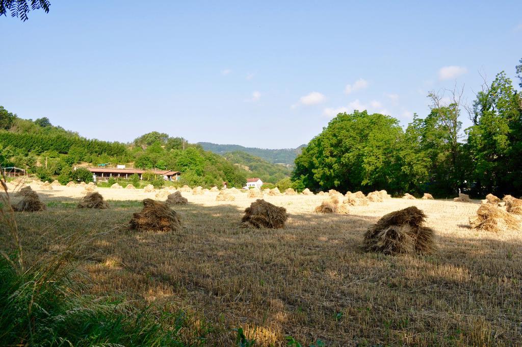 مبيت وإفطار كايرو مونتينوت Le Macine Relais المظهر الخارجي الصورة